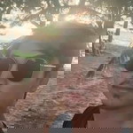 ณัฐดนัย ศักดิ์ธรรมศิร profile icon