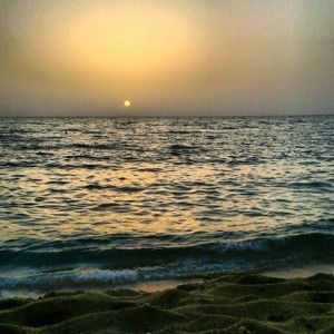 Liyana Hairi profile icon