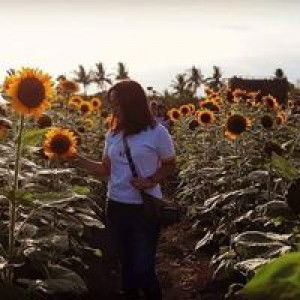 Mae Joy B. Maagma profile icon