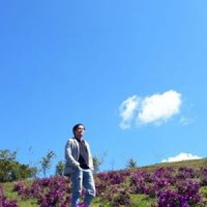 Quang Le profile icon