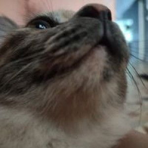 Jim Haa Noona profile icon