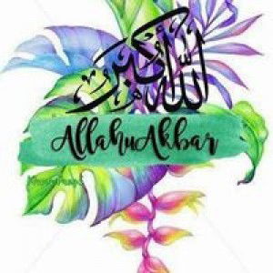 Nur Alisha profile icon