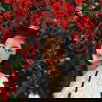 Bo Janjira Konsila profile icon