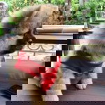 Alisa Mey profile icon