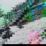 Noer Haety Maulana profile icon