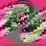 Ummi Asmeena profile icon
