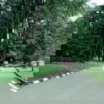 Rizky Fijaryani profile icon