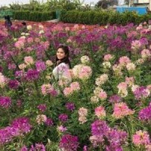 Margo R De Guzman profile icon
