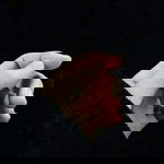 Nurzafitri profile icon