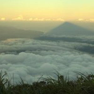 Aji Prasetyo profile icon