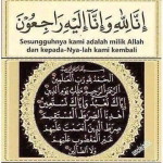 Diela Razali profile icon