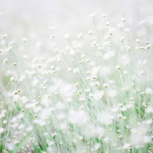 Nurul Hidayati profile icon