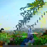 tini Zi profile icon