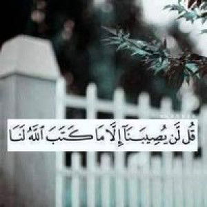 Mondy Mdr profile icon