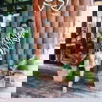 Sasi Ann profile icon