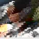 อารียา แก้วชารี profile icon