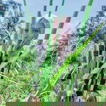 Yunita Aviandari profile icon