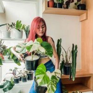 Thaweeporn Pimsalee profile icon