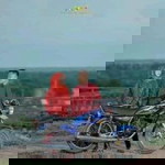 Benie Bonay profile icon