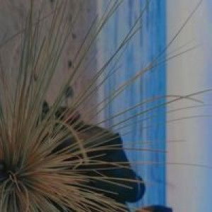 Halwa Hubby Alfasyanie profile icon