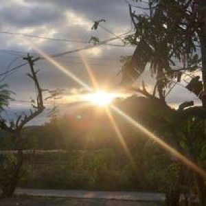 Anne Gella profile icon