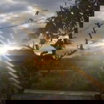 Anne Gella profile icon