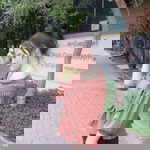 นภัสสร นาคปนคํา profile icon