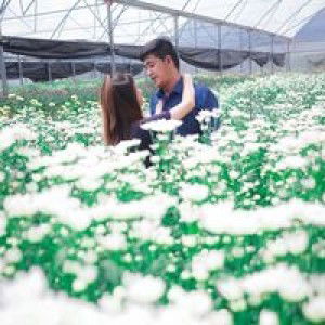 Czarina Mabborang Miravel profile icon