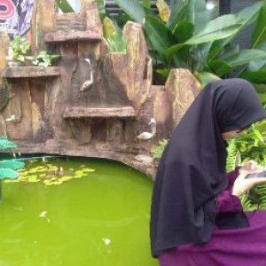 ROSTIANI HR profile icon