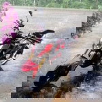 เดิฟ จรัน profile icon