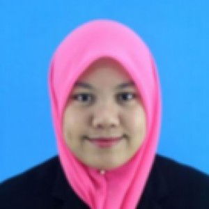 noor hamizah profile icon