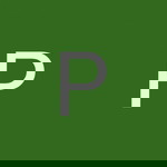 Puteri Intan profile icon