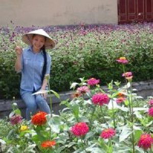 Trần Quỳnh profile icon