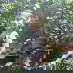 Merlyn Ferrer profile icon
