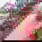 Aloha Indy profile icon