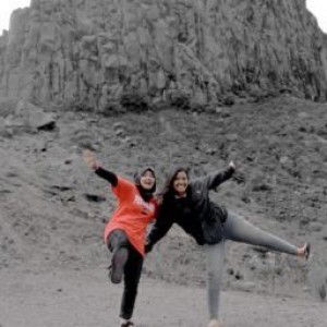 Dianatus Sarivah profile icon