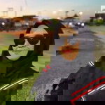 Putri Anggia Murni profile icon