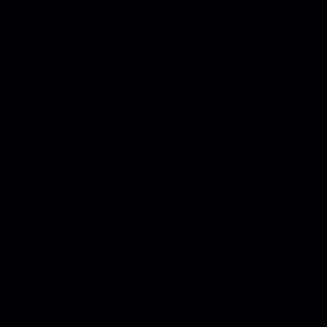 Bussaba Pakpin profile icon