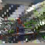 Joan Gobrin Bellen profile icon