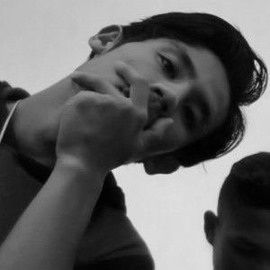 bq reni windatina profile icon