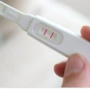 pujex palevi13 profile icon