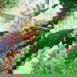 Sukanit profile icon