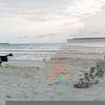 Godes Yurag profile icon