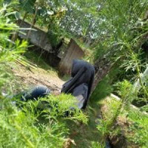 Afi Indri profile icon