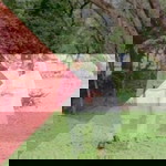 Aleeya Mustaffa profile icon