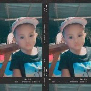 Ara Pauline Arabis profile icon