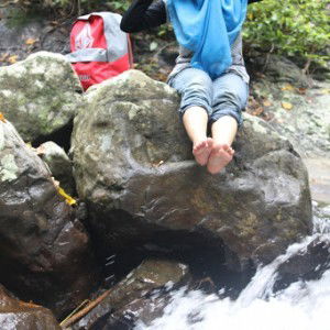 Lili Shurei profile icon