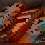 Jealaiza Bitara profile icon