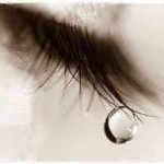 Putcharaporn Seanseemon profile icon
