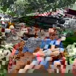 Princess Joy Hernandez Patolot profile icon